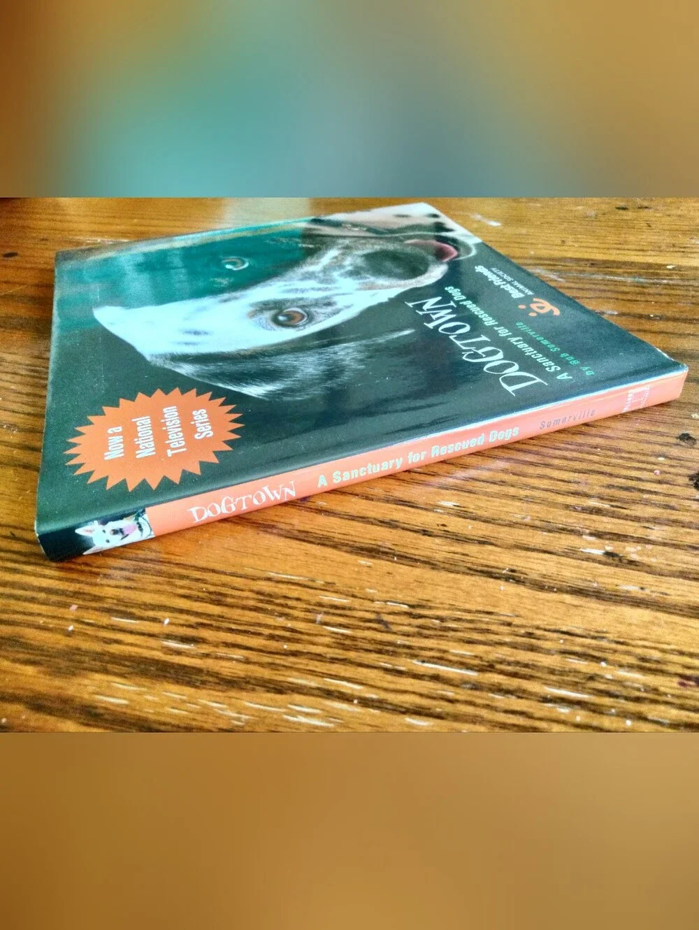 Dogtown A Sanctuary for Rescued Dogs, Hardback by Bob Somerville